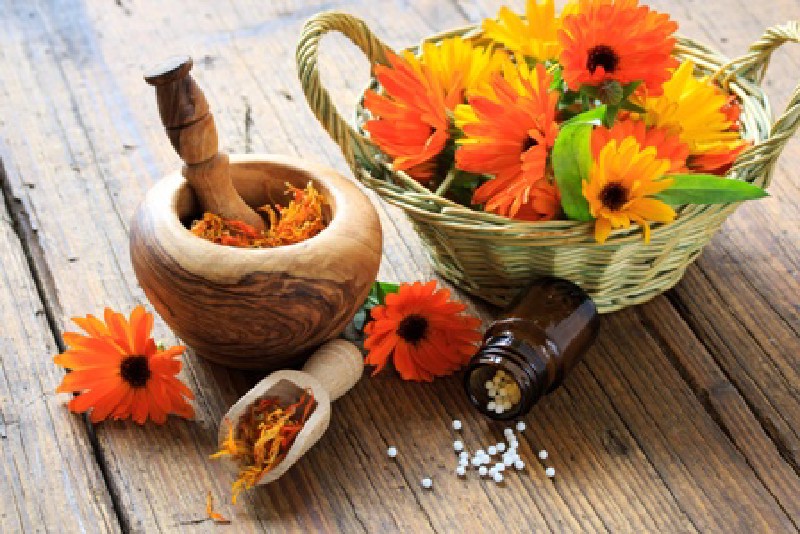 Phytothérapie - le pouvoir des plantes médicinales